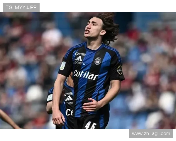 近三年降级意甲球队:近三年来降级的意甲球队名单与原因分析 (2) 近三年降级意甲球队:近三年来降级的意甲球队名单与原因分析 (2)