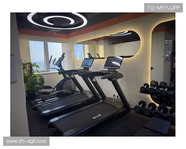 高端健身器材的魅力：提升运动体验的最佳选择