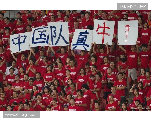 福建足球队在中超联赛中的发展历程及未来展望分析